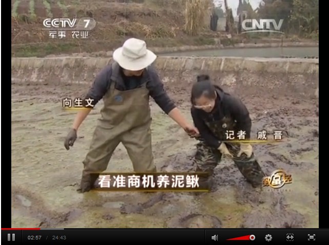 沈陽(yáng)向生文瞅準(zhǔn)商機(jī)養(yǎng)泥鰍致富傳奇視頻